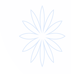 金年会|app官网入口